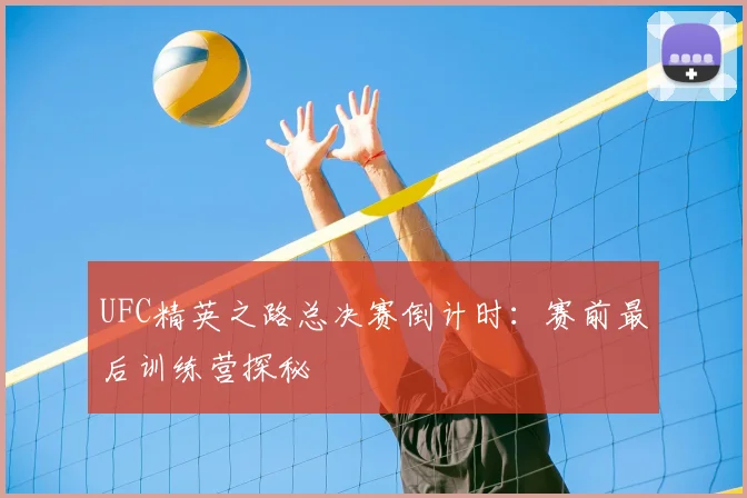 UFC精英之路总决赛倒计时：赛前最后训练营探秘