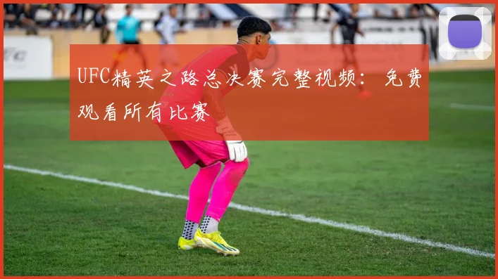 UFC精英之路总决赛完整视频：免费观看所有比赛