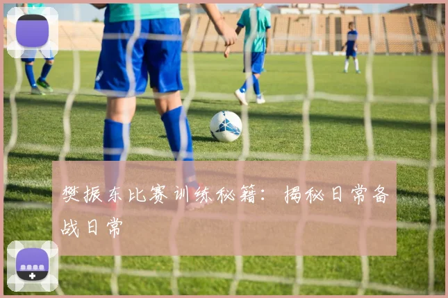 樊振东比赛训练秘籍:揭秘日常备战日常