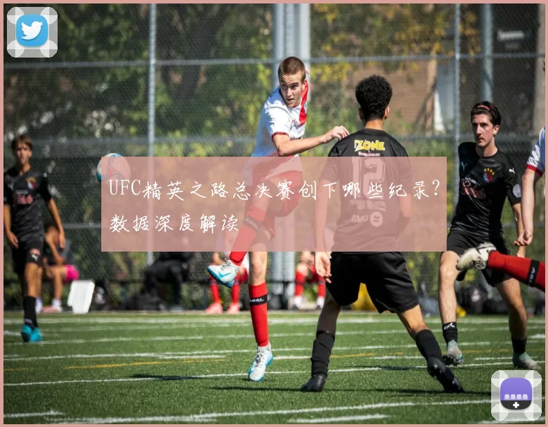 UFC精英之路总决赛创下哪些纪录?数据深度解读