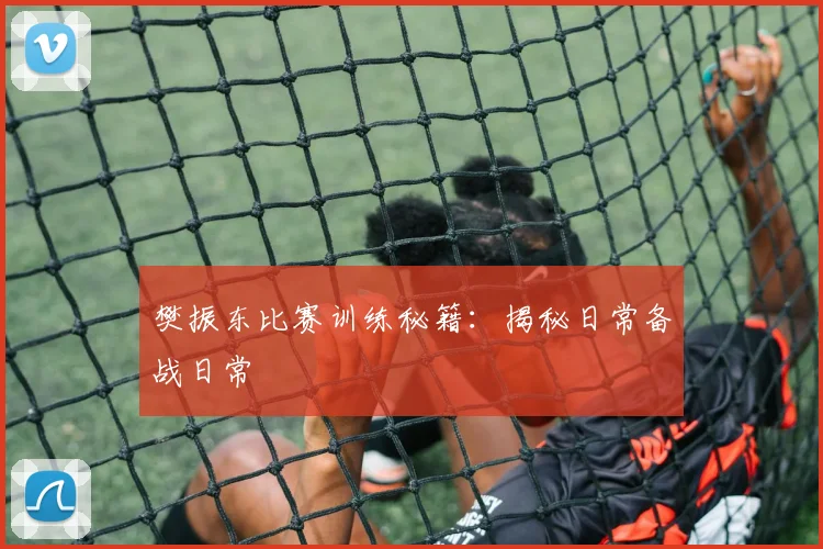 樊振东比赛训练秘籍：揭秘日常备战日常