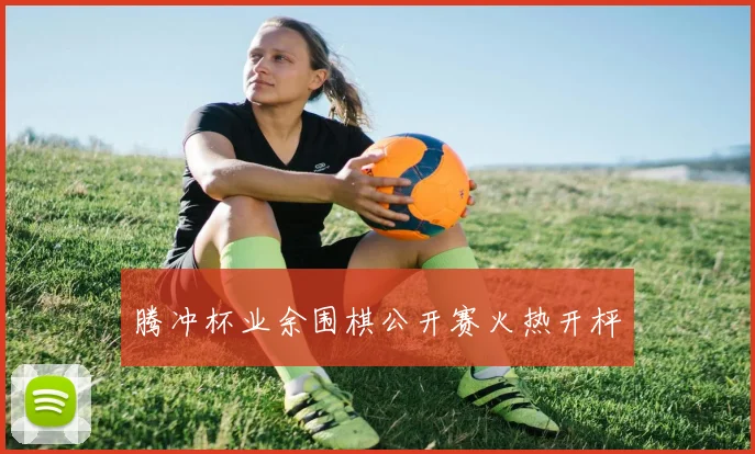 腾冲杯业余围棋公开赛火热开枰