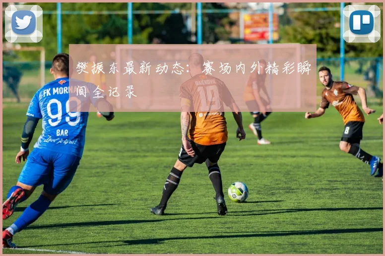 樊振东最新动态:赛场内外精彩瞬间全记录