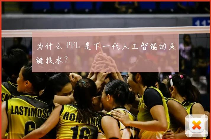 为什么 PFL 是下一代人工智能的关键技术?