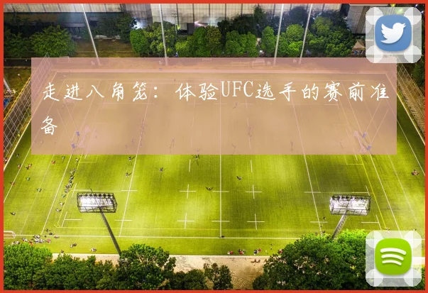 走进八角笼：体验UFC选手的赛前准备