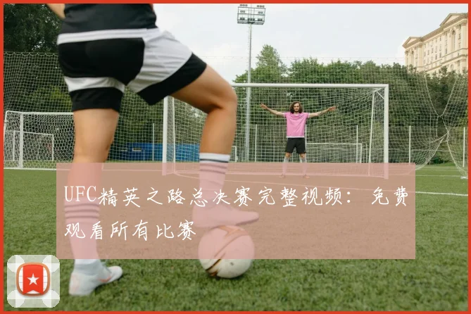UFC精英之路总决赛完整视频：免费观看所有比赛