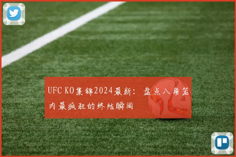 UFC KO集锦2024最新：盘点八角笼内最疯狂的终结瞬间
