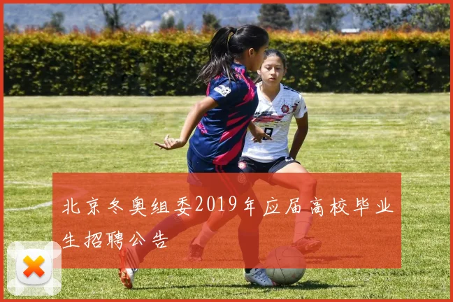 北京冬奥组委2019年应届高校毕业生招聘公告